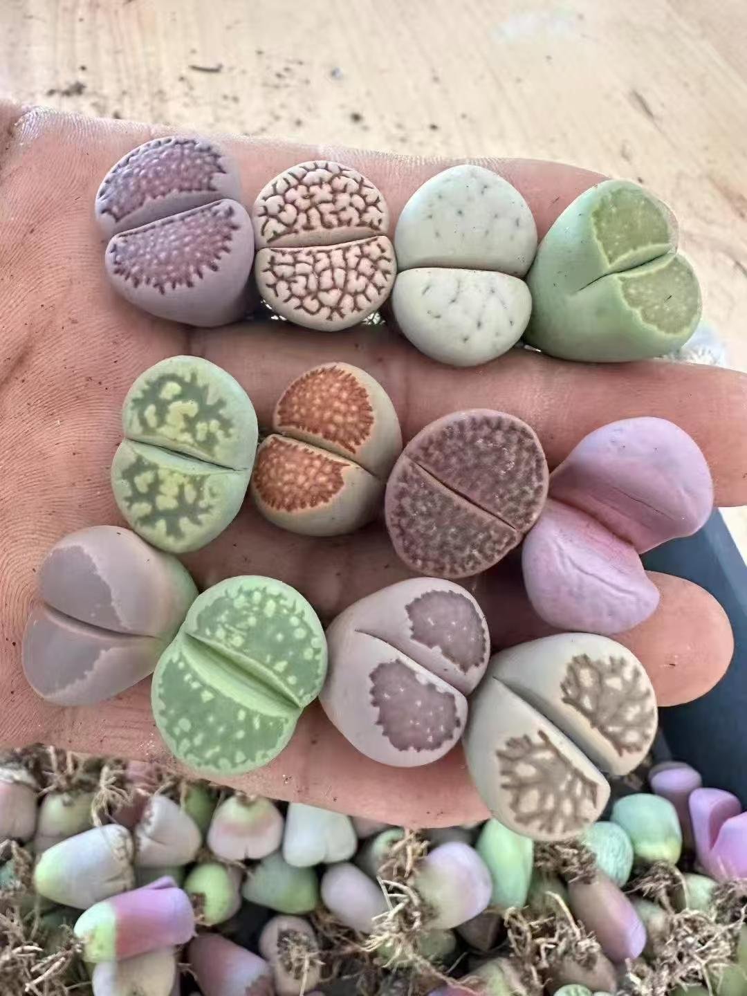 彩色混合