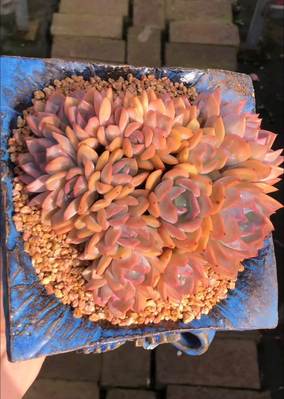 file_150.jpg