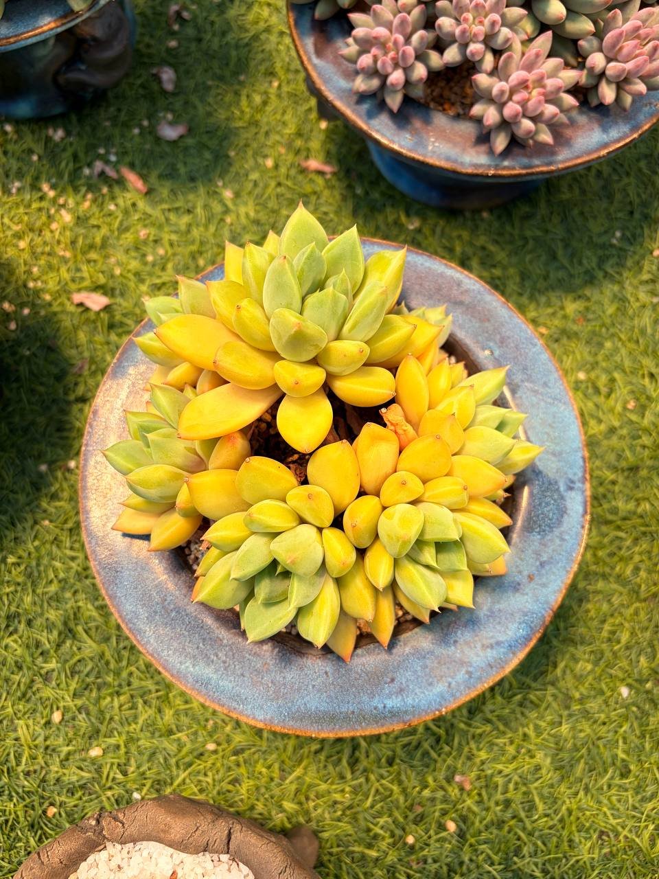 file_755.jpg