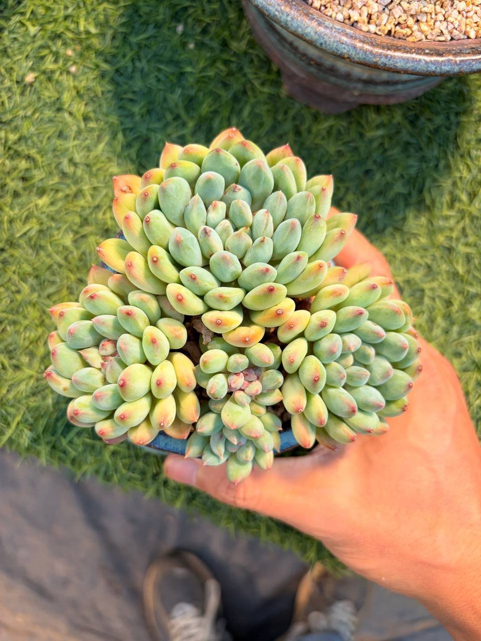 file_803.jpg